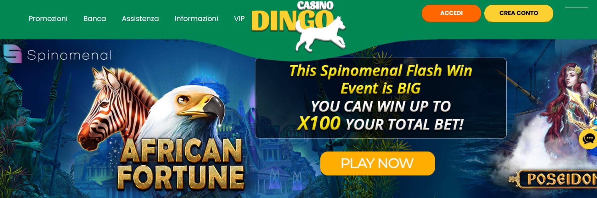 dingo casino online